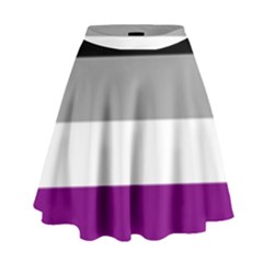 Asexual Pride Flag Lgbtq High Waist Skirt by lgbtnation