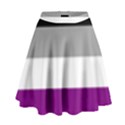 Asexual Pride Flag LGBTQ High Waist Skirt View1