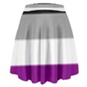 Asexual Pride Flag LGBTQ High Waist Skirt View2