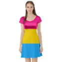 Pansexual Pride Flag Short Sleeve Skater Dress View1