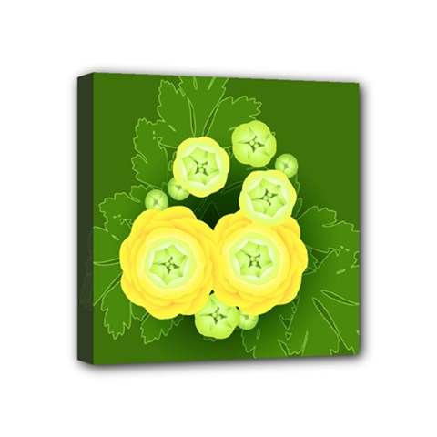 Buttercup Ranunculus Globe Flower Mini Canvas 4  X 4  (stretched) by Pakrebo