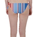 Blue And Coral Stripe 1 Bikini Bottom View2