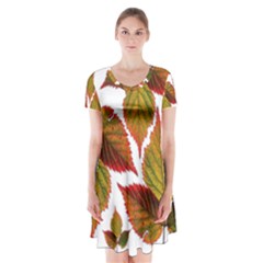 Leaves Autumn Fall Colorful Short Sleeve V-neck Flare Dress by Simbadda