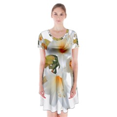 Lilies White Belladonna Short Sleeve V-neck Flare Dress by Simbadda