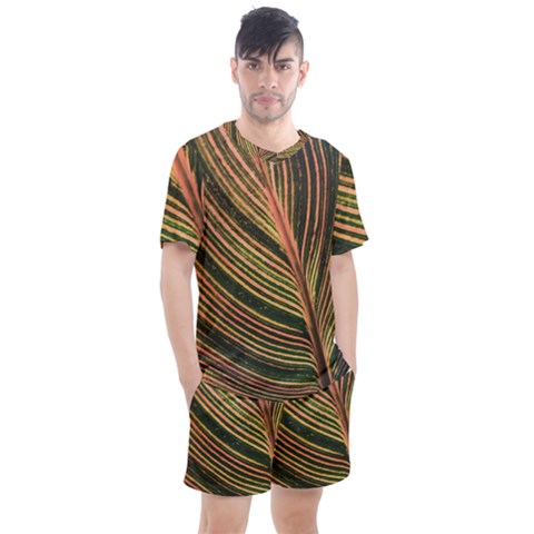 Leaf Patten Lines Colorful Plant Men s Mesh Tee And Shorts Set by Simbadda