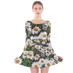 Columbus Commons Shasta Daisies Long Sleeve Velvet Skater Dress by Riverwoman