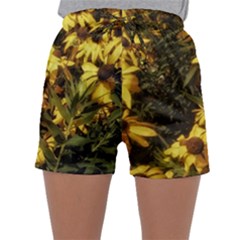 Echinacea Paradoxa Sleepwear Shorts by Riverwoman