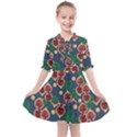 Figs and Monstera  Kids  All Frills Chiffon Dress View1