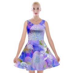 Flowers Abstract Colorful Art Velvet Skater Dress by Vaneshart