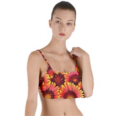 Background 1655938 960 720 Layered Top Bikini Top  by vintage2030