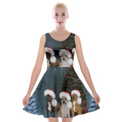 Christmas, Cute Dogs With Christmas Hat Velvet Skater Dress by FantasyWorld7