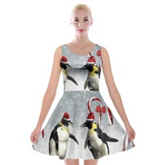 Funny Penguin In A Winter Landscape Velvet Skater Dress by FantasyWorld7