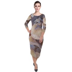 Close Up Mushroom Abstract Quarter Sleeve Midi Velour Bodycon Dress by Fractalsandkaleidoscopes