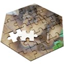 Close Up Mushroom Abstract Wooden Puzzle Hexagon View3