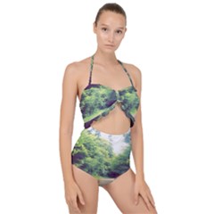 Photo Vue Sur Forêt  Scallop Top Cut Out Swimsuit by kcreatif