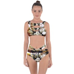 Tulips 1 3 Bandaged Up Bikini Set  by bestdesignintheworld