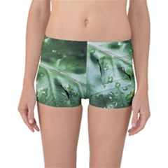 Green Wet Rain Water Drops Plant Boyleg Bikini Bottoms