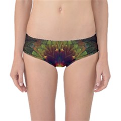 Art Abstract Fractal Pattern Classic Bikini Bottoms by Wegoenart