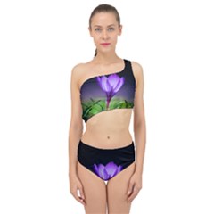 Floral Nature Spliced Up Two Piece Swimsuit by Sparkle