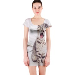 Laughing Kitten Short Sleeve Bodycon Dress by Sparkle