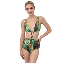 Abstract Illusion Tied Up Two Piece Swimsuit by Sparkle