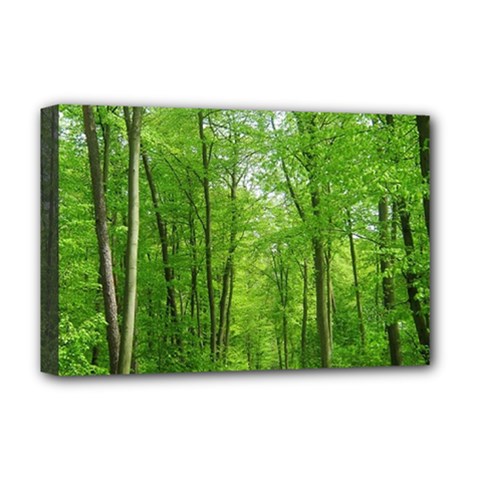 In The Forest The Fullness Of Spring, Green, Deluxe Canvas 18  X 12  (stretched) by MartinsMysteriousPhotographerShop