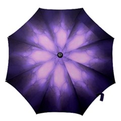 Violet Spark Hook Handle Umbrellas (small) by Sparkle