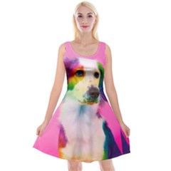 Rainbowdog Reversible Velvet Sleeveless Dress by Sparkle