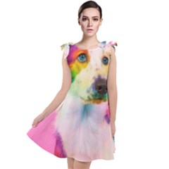 Rainbowdog Tie Up Tunic Dress by Sparkle