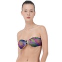 Rainbowwaves Classic Bandeau Bikini Top  View1