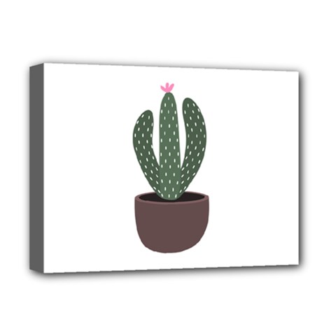 Cactus Deluxe Canvas 16  X 12  (stretched)  by CuteKingdom