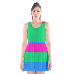 Polysexual Pride Flag Lgbtq Scoop Neck Skater Dress by lgbtnation