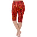 Colorful Strawberries At Market Display 1 Lightweight Velour Cropped Yoga Leggings View4