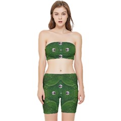 One Island In A Safe Environment Of Eternity Green Stretch Shorts And Tube Top Set by pepitasart