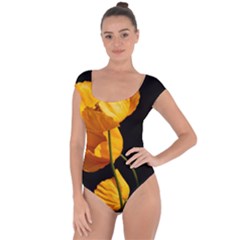 Yellow Poppies Short Sleeve Leotard  by Audy