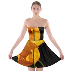 Yellow Poppies Strapless Bra Top Dress by Audy