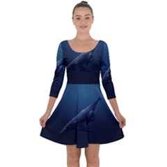 Blue Whales Quarter Sleeve Skater Dress by goljakoff