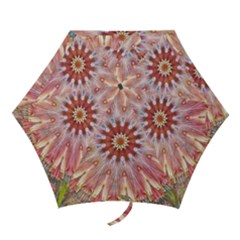 Pink Beauty 1 Mini Folding Umbrellas by LW41021