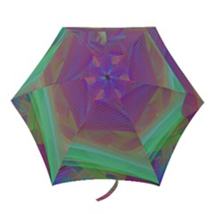 Color Winds Mini Folding Umbrellas by LW41021