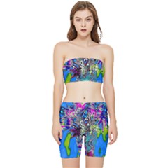 Exotic Flowers In Vase Stretch Shorts And Tube Top Set by LW323