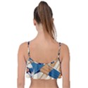 Airplane - I Need Altitude Adjustement Frill Bikini Top View2