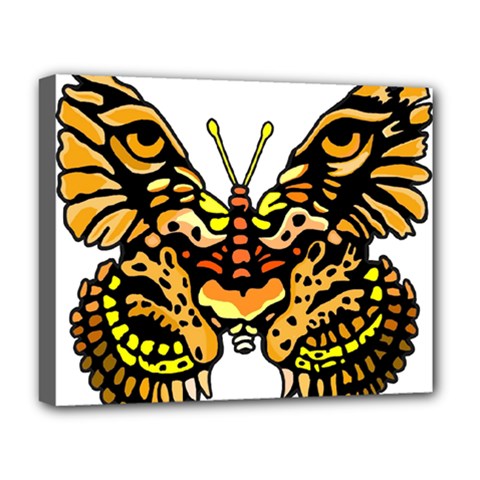 Bigcat Butterfly Deluxe Canvas 20  X 16  (stretched) by IIPhotographyAndDesigns