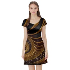 Shell Fractal In Brown Short Sleeve Skater Dress by SomethingForEveryone