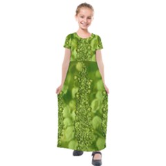 Green Fresh  Lilies Of The Valley The Return Of Happiness So Decorative Kids  Short Sleeve Maxi Dress by pepitasart