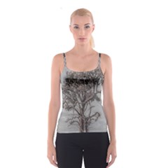 Big Tree Photo Illustration Spaghetti Strap Top by dflcprintsclothing