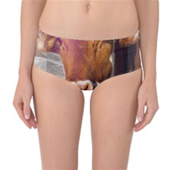 Picsart 22-03-21 13-33-20-883 Mid-waist Bikini Bottoms by jellybeansanddinosaurs