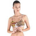 Abbey Abstract Safari Safari Safari Pop Tropical Girls 2 With Texture Tie Up Cut Bikini Top View1