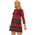 Boyd Modern Tartan 2 Long Sleeve Babydoll Dress View2