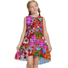 Backgrounderaser 20220425 173842383 Backgrounderaser 20220427 131956690 Kids  Frill Swing Dress by marthatravis1968