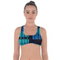 Folding For Science Got No Strings Sports Bra View1